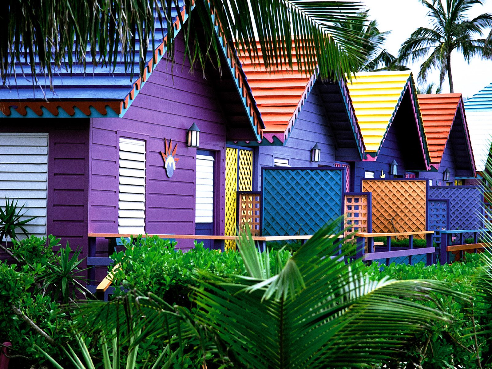 Colorful Houses, Bahamas691188307 - Colorful Houses, Bahamas - Netherlands, Houses, Colorful, Bahamas